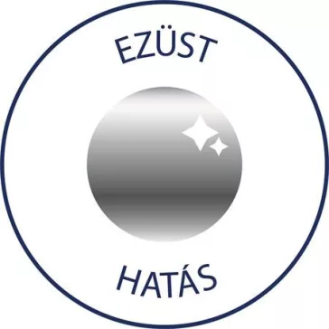   Matrica,  2 ív, 76x120 mm, AVERY ZWECKFORM, "Z-Design No.52812", ezüst csillagok