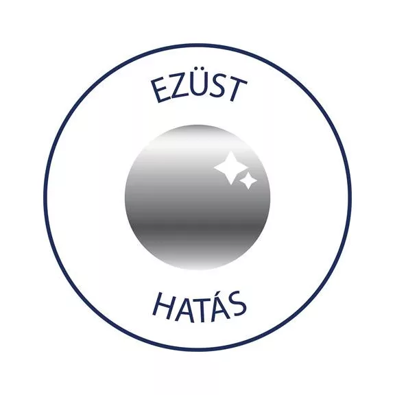 Matrica,  2 ív, 76x120 mm, AVERY ZWECKFORM, "Z-Design No.52812", ezüst csillagok