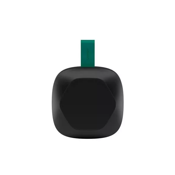 Hangszóró, hordozható, Bluetooth 5.3, CANYON "Hexagon 10", fekete-zöld