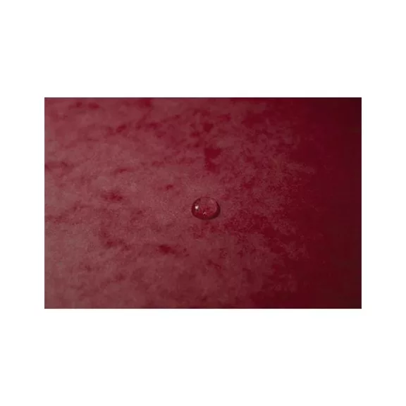 Gumis mappa, prespán, A4, EXACOMPTA, cseresznye