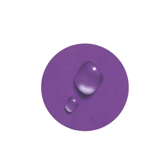 Gumis mappa, karton, A4, EXACOMPTA "Iderama", lila