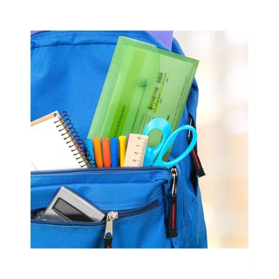 Irattartó tasak, DL, patentos, RAPESCO "Eco", áttetsző vegyes színek