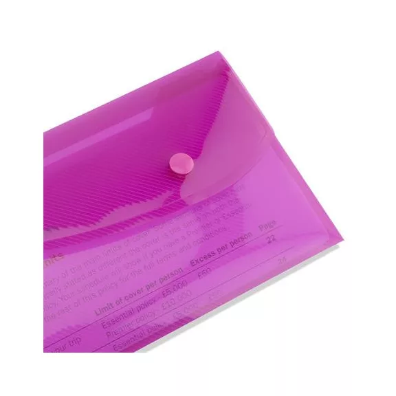 Irattartó tasak, DL, patentos, RAPESCO "Eco", áttetsző vegyes színek