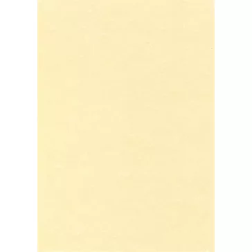   Előnyomott papír, A4, 95 g, pergamen hatású, APLI, pezsgő