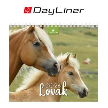 Naptár, asztali, álló, DAYLINER "Lovak"