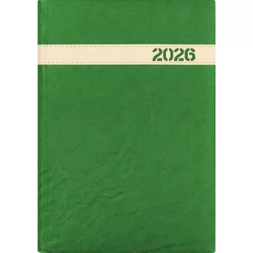   Naptár, tervező, A5, napi, DAYLINER, "The Boss", zöld