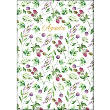   Naptár, tervező, A5, napi, DAYLINER, "Colors", Berries