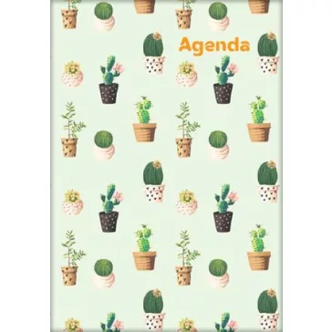   Naptár, tervező, A5, heti, DAYLINER, "Colors", Cactus