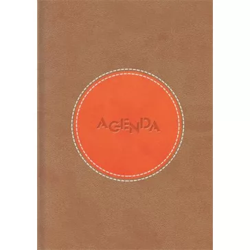   Naptár, tervező, A5, napi, DAYLINER "Central", barna-narancs