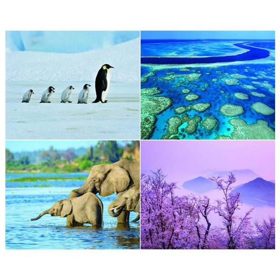 Naptár, fali, CSG, "Csodálatos bolygónk"