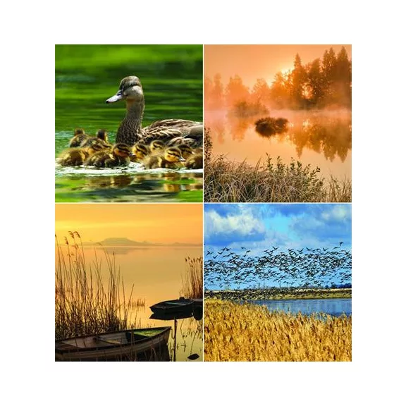 Naptár, fali, CSG, "Vizeink"