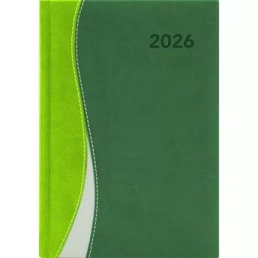   Naptár, tervező, A5, napi, DAYLINER, "Dubai", zöld-zöld