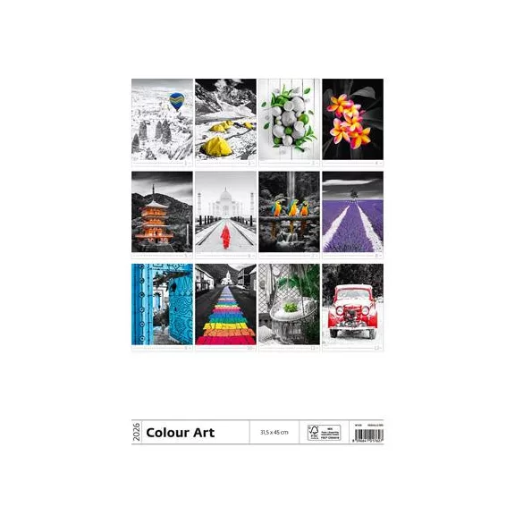 Naptár, fali, DAYLINER "Colour Art"