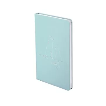   Naptár, tervező, B6, heti, TOPTIMER "Pastel", kék