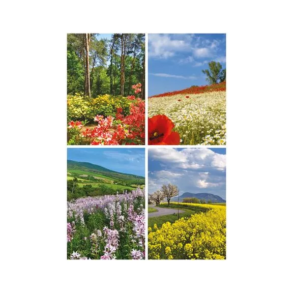 Naptár, fali, TOPTIMER, "Ezerszínű Magyarország"