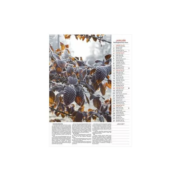 Naptár, fali, TOPTIMER "Kertésznaptár"