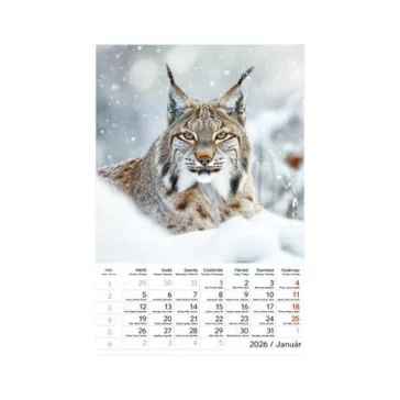 Naptár, fali, TOPTIMER "Vadállatok"