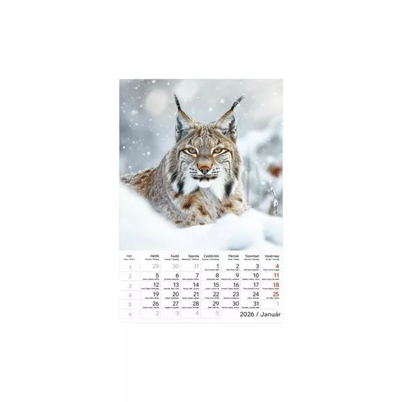 Naptár, fali, TOPTIMER "Vadállatok"