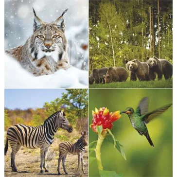 Naptár, fali, TOPTIMER "Vadállatok"