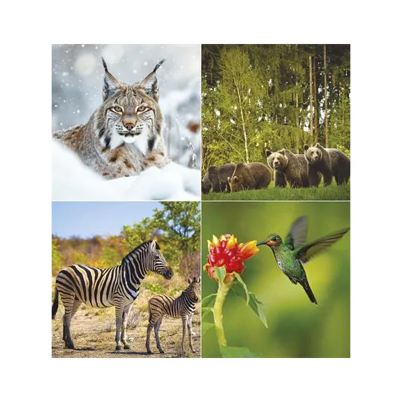 Naptár, fali, TOPTIMER "Vadállatok"