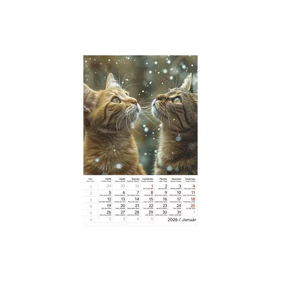 Naptár, fali, TOPTIMER, "Cicák"