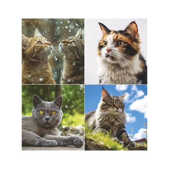 Naptár, fali, TOPTIMER, "Cicák"