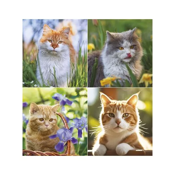 Naptár, fali, TOPTIMER, "Cicák"