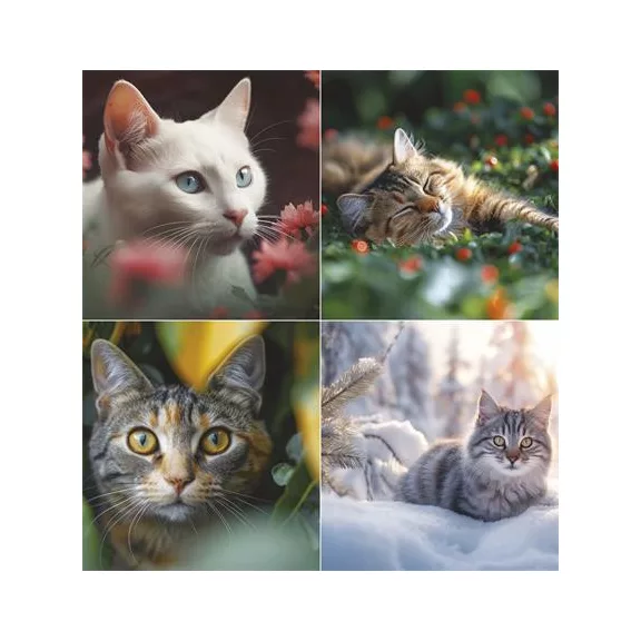 Naptár, fali, TOPTIMER, "Cicák"