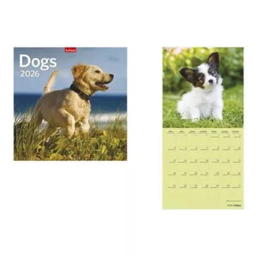 Naptár, fali, TOPTIMER, "Dogs"