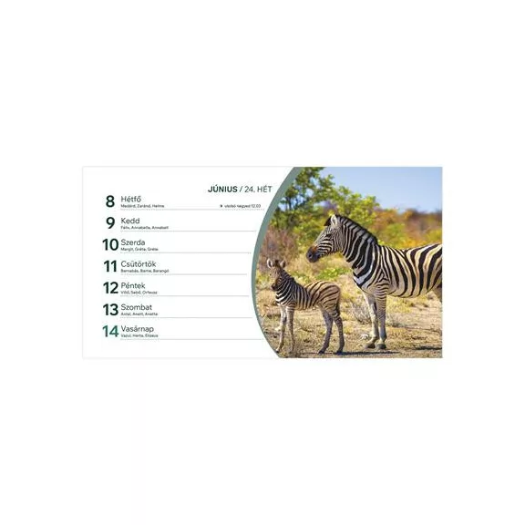 Naptár, asztali, álló, TOPTIMER, "Állatvilág"