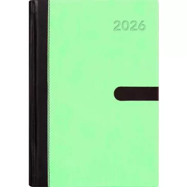   Naptár, tervező, A5, napi, DAYLINER "Winner", menta