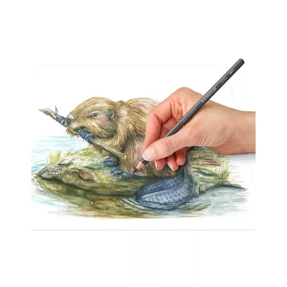 Színezett akvarell ceruza készlet, hatszögletű, STAEDTLER® "tinted 146 10T", 12 különböző szín