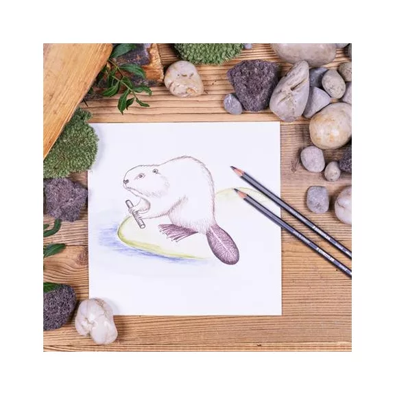 Színezett akvarell ceruza készlet, hatszögletű, STAEDTLER® "tinted 146 10T", 12 különböző szín