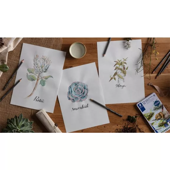 Színezett akvarell ceruza készlet, hatszögletű, STAEDTLER® "tinted 146 10T", 12 különböző szín