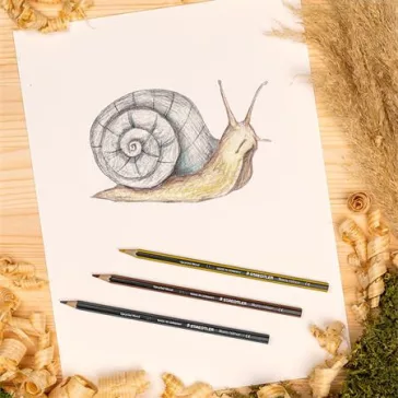   Színes ceruza készlet, hatszögletű, STAEDTLER "Noris Colour 185", 24 különböző szín