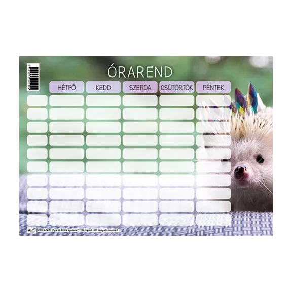Órarend pd 165x117 mm vegyes