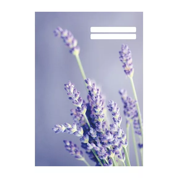 Füzet pd kisalakú 32 lapos 27-32 kockás Colores