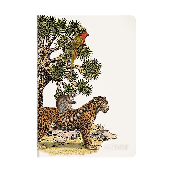 Füzet Clairefontaine Deyrolle Animalis A/4, 48 lapos, vonalas, margós, vegyes