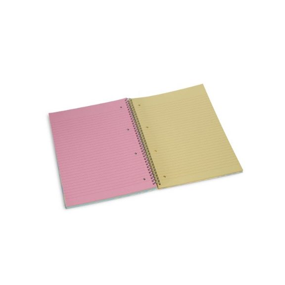 Spirálfüzet Pigna Monocromo MULTICOLOR A/4 100 lapos vonalas