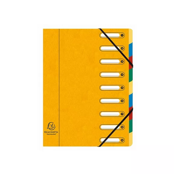 Előrendező Exacompta 245x320 mm 9 részes ablakos karton vegyes színek