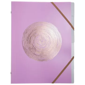   Előrendező Exacompta Ellipse A/4 8 részes gumis vegyes minták