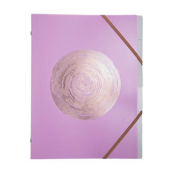 Előrendező Exacompta Ellipse A/4 8 részes gumis vegyes minták