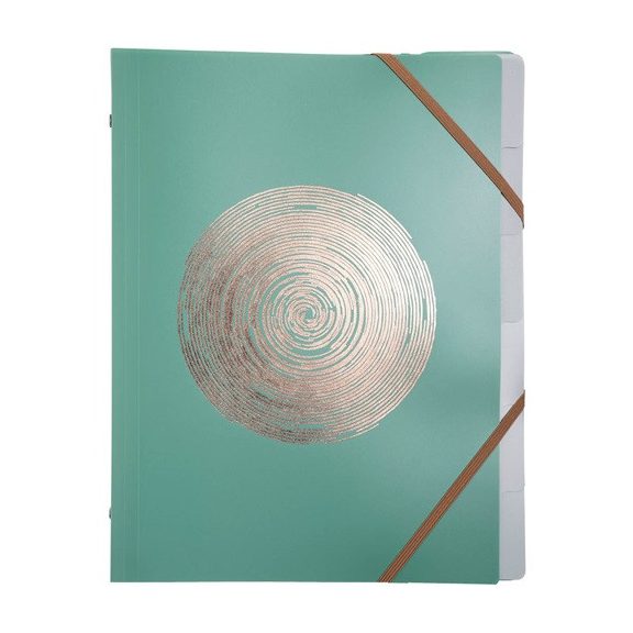 Előrendező Exacompta Ellipse A/4 8 részes gumis vegyes minták