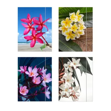 Gumis mappa Herlitz Flower A/4