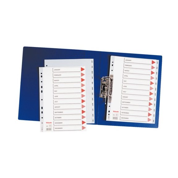 Regiszter PP Esselte A/4 Jan-Dec-ig szürke 100114
