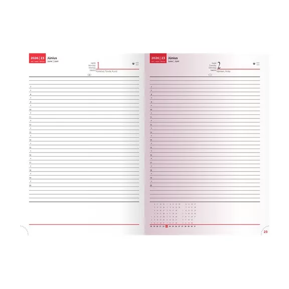 Határidőnapló Realsystem Standard B/5 napi zöld