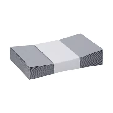   Névjegyboríték színes KASKAD enyvezett 70x105 mm 52 ezüst metál 120 g 25 darabos