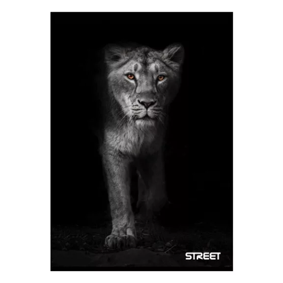 Füzet sima STREET A/4 54 lapos Safari