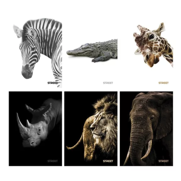 Füzet sima STREET A/5 54 lapos Safari