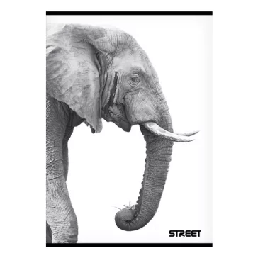 Füzet sima STREET A/5 54 lapos Safari